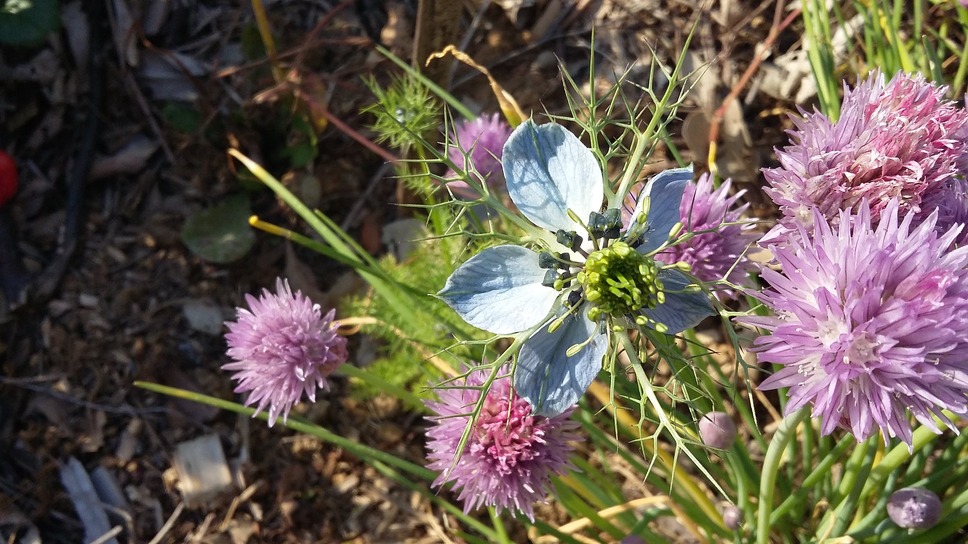 できる － セ・ポシブル 13枚目の写真・画像