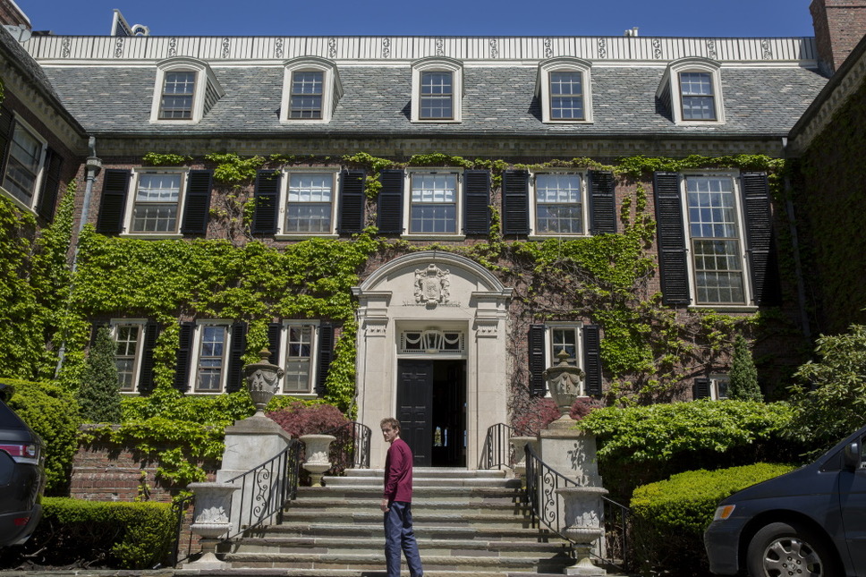 サラブレッド 7枚目の写真・画像