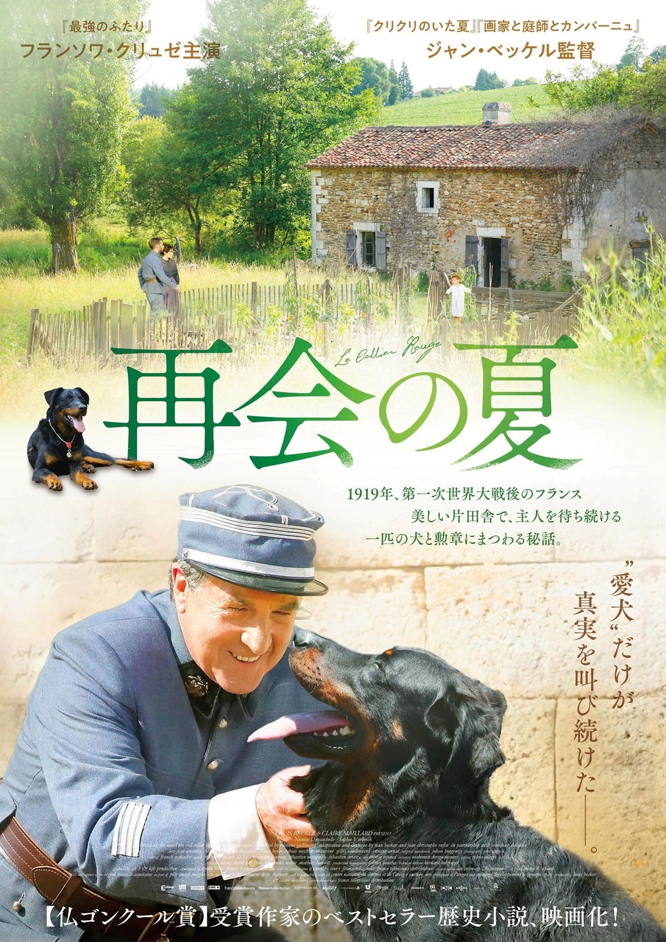 再会の夏 1枚目の写真・画像