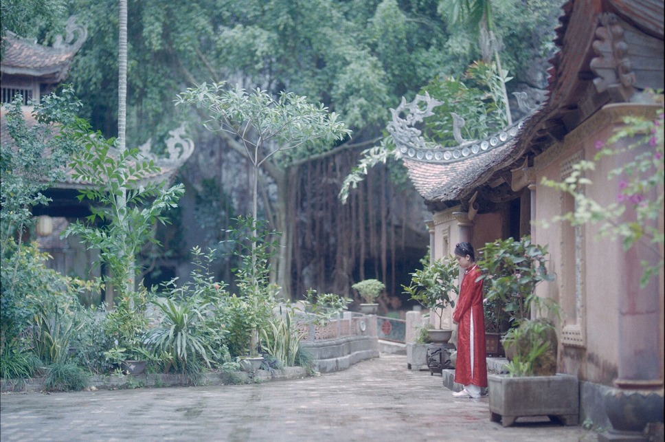 第三夫人と髪飾り 10枚目の写真・画像