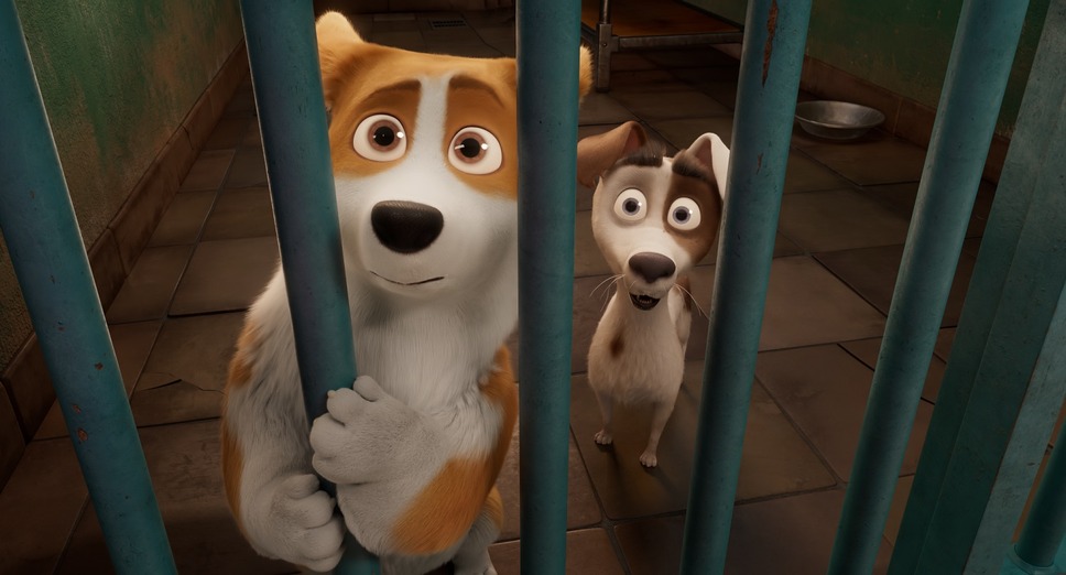 ロイヤルコーギー レックスの大冒険 10枚目の写真・画像