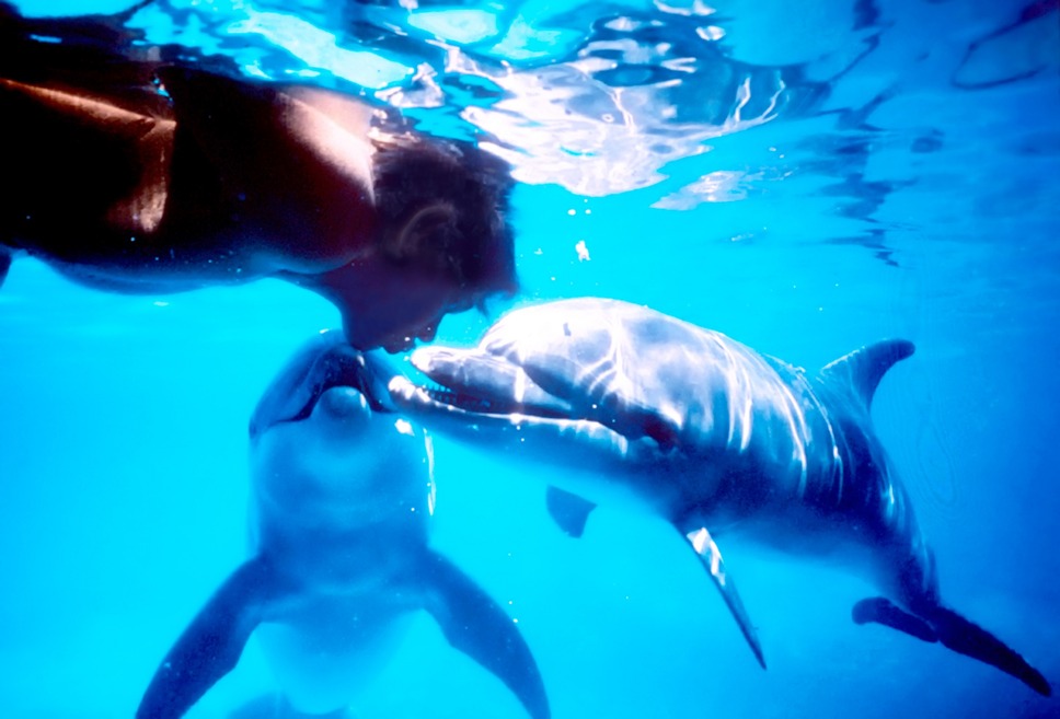 ドルフィン・マン～ジャック・マイヨール、蒼く深い海へ 2枚目の写真・画像