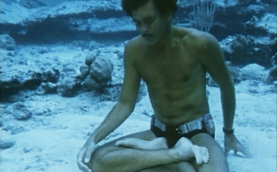 ドルフィン・マン～ジャック・マイヨール、蒼く深い海へ 12枚目の写真・画像