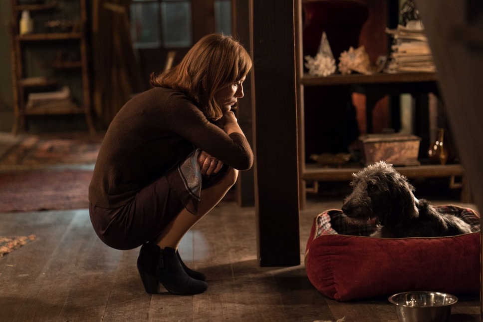 グレタ GRETA 6枚目の写真・画像