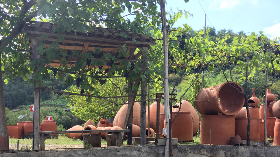 ジョージア、ワインが生まれたところ 5枚目の写真・画像