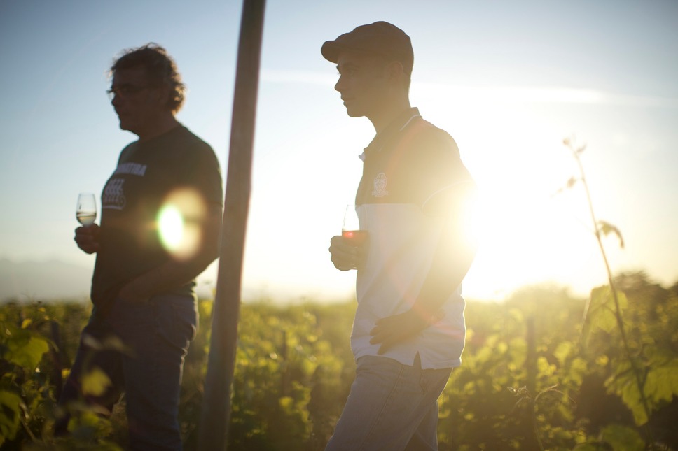 ワイン・コーリング 2枚目の写真・画像