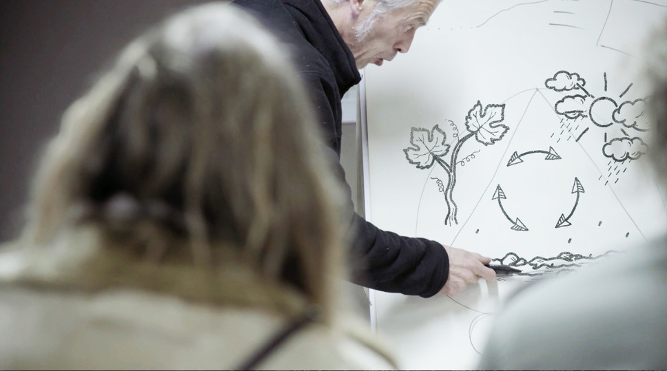 ワイン・コーリング 4枚目の写真・画像