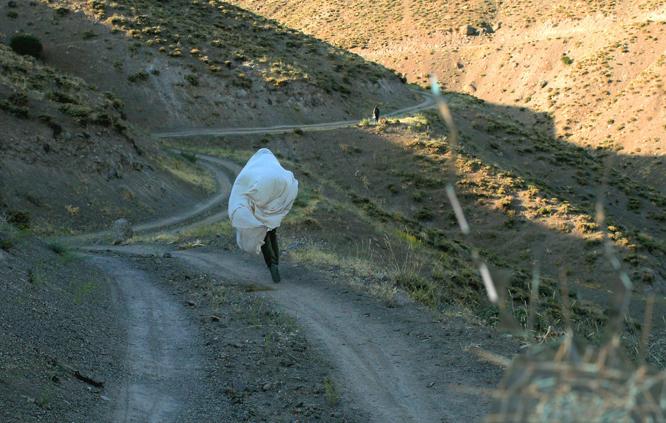 ある女優の不在 4枚目の写真・画像