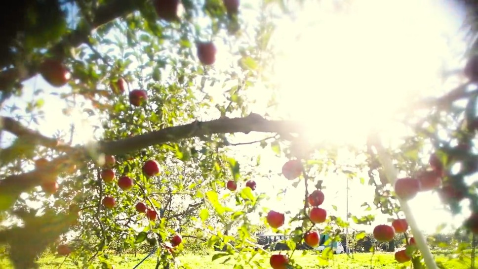 いただきます ここは、発酵の楽園 3枚目の写真・画像