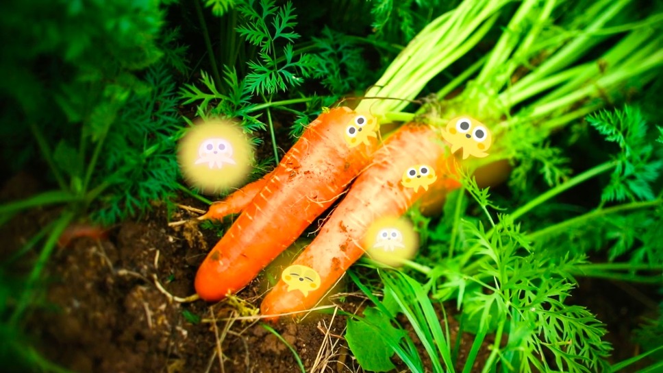 いただきます ここは、発酵の楽園 6枚目の写真・画像