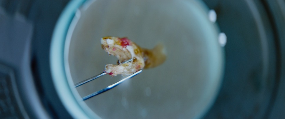 マーダー・ミー・モンスター 6枚目の写真・画像