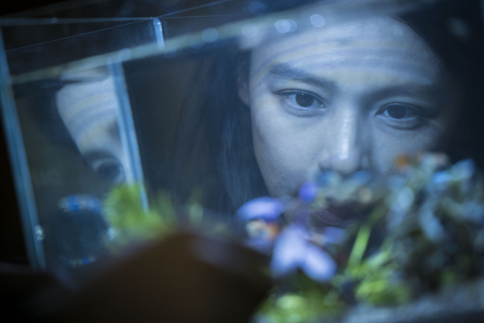 人面魚　THE DEVIL FISH 2枚目の写真・画像