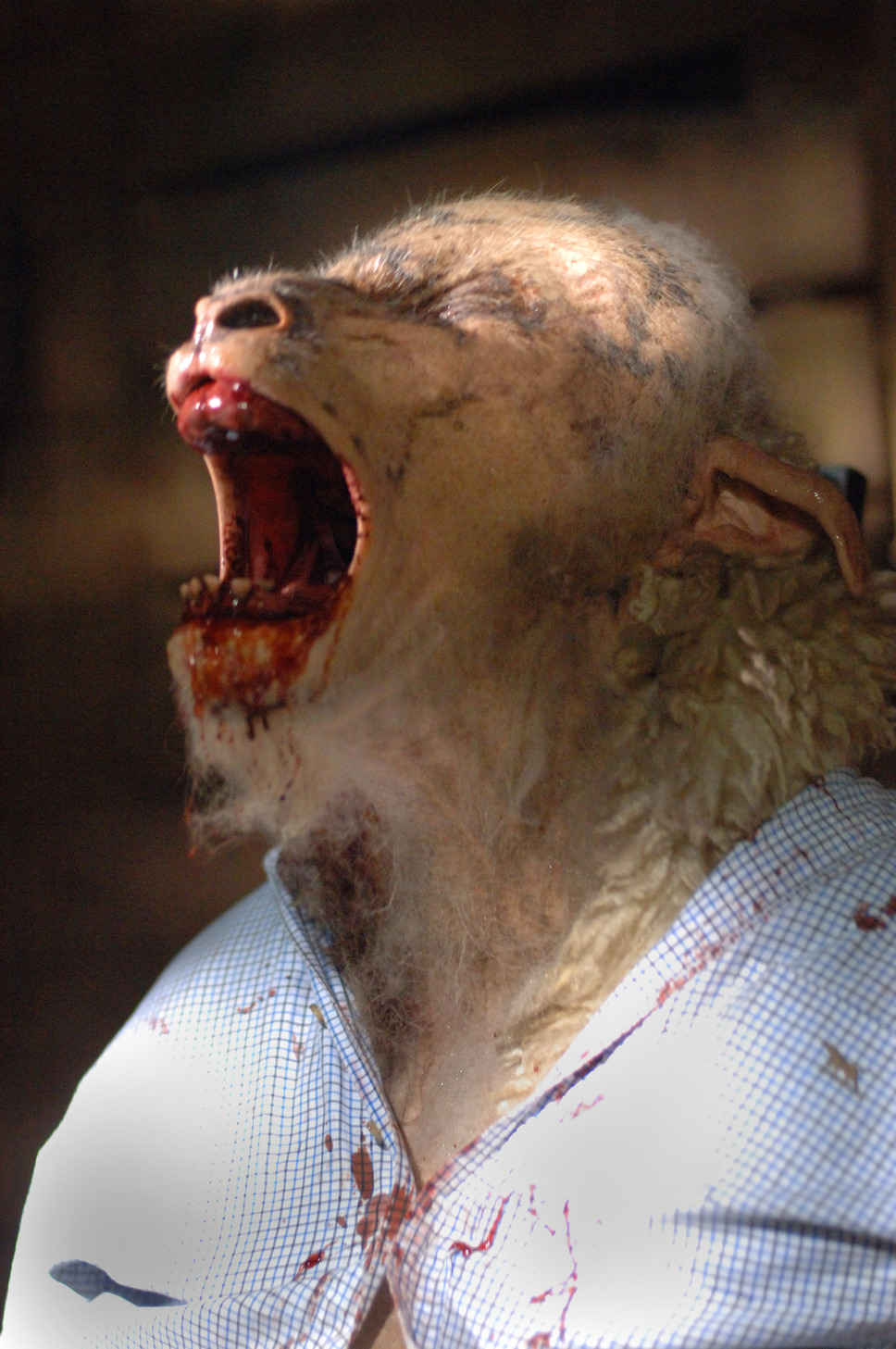 ブラックシープ 6枚目の写真・画像