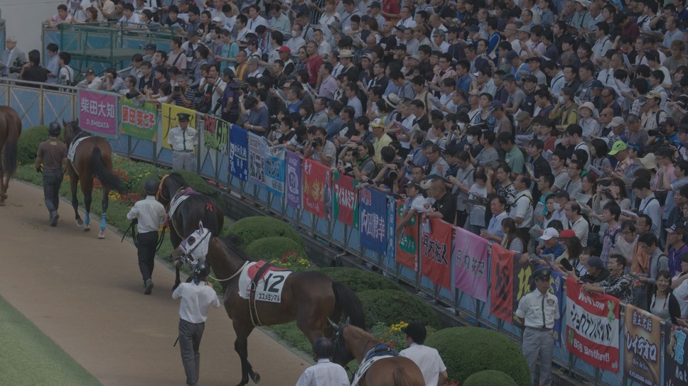 今日もどこかで馬は生まれる 2枚目の写真・画像