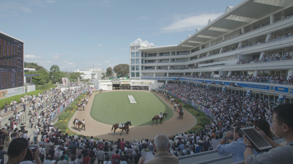今日もどこかで馬は生まれる 3枚目の写真・画像
