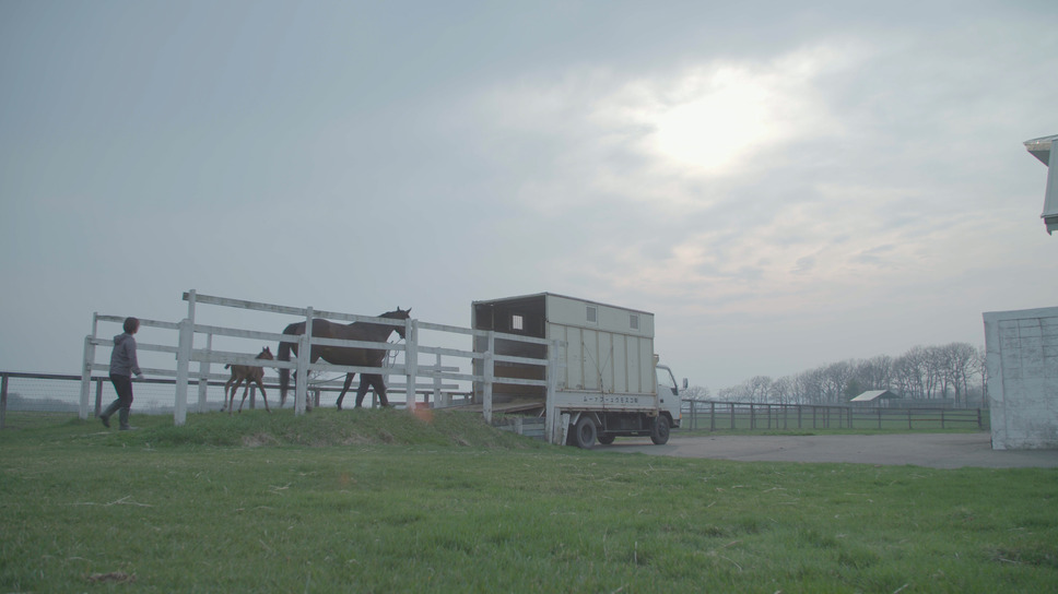 今日もどこかで馬は生まれる 7枚目の写真・画像