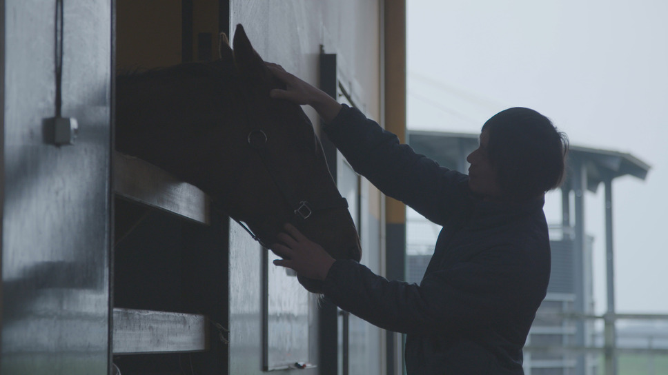 今日もどこかで馬は生まれる 8枚目の写真・画像