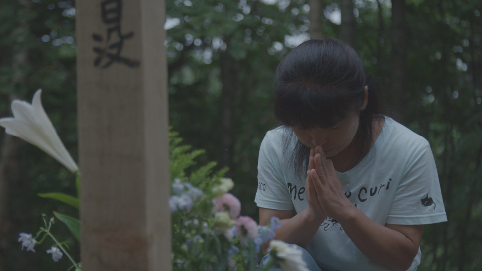 今日もどこかで馬は生まれる 9枚目の写真・画像