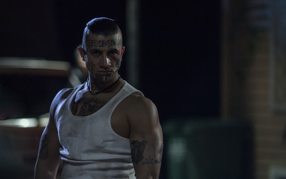 ネバー・ダイ 決意の弾丸 17枚目の写真・画像