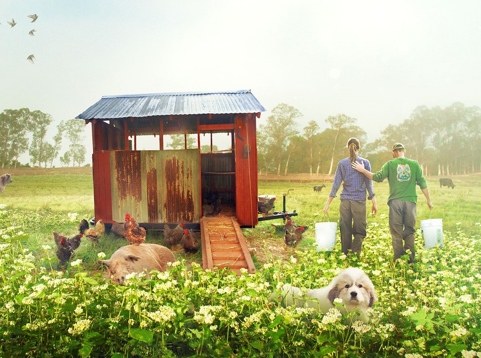 ビッグ・リトル・ファーム 理想の暮らしのつくり方 2枚目の写真・画像