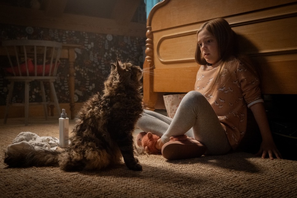 ペット・セメタリー（2020） 11枚目の写真・画像