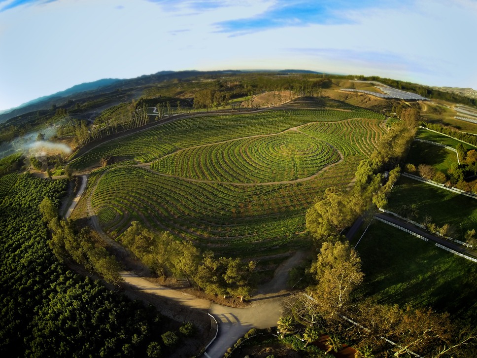 ビッグ・リトル・ファーム 理想の暮らしのつくり方 6枚目の写真・画像