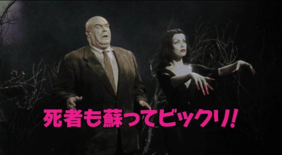 プラン9・フロム・アウタースペース 総天然色版 4枚目の写真・画像