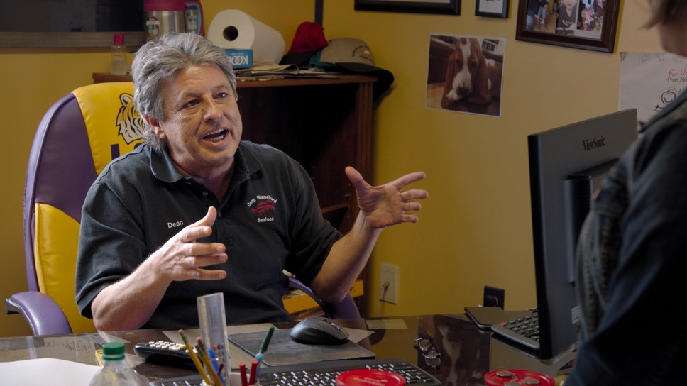 グリーン・ライ〜エコの嘘〜 9枚目の写真・画像