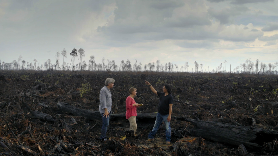グリーン・ライ〜エコの嘘〜 11枚目の写真・画像