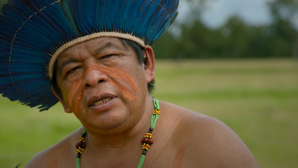 グリーン・ライ〜エコの嘘〜 13枚目の写真・画像
