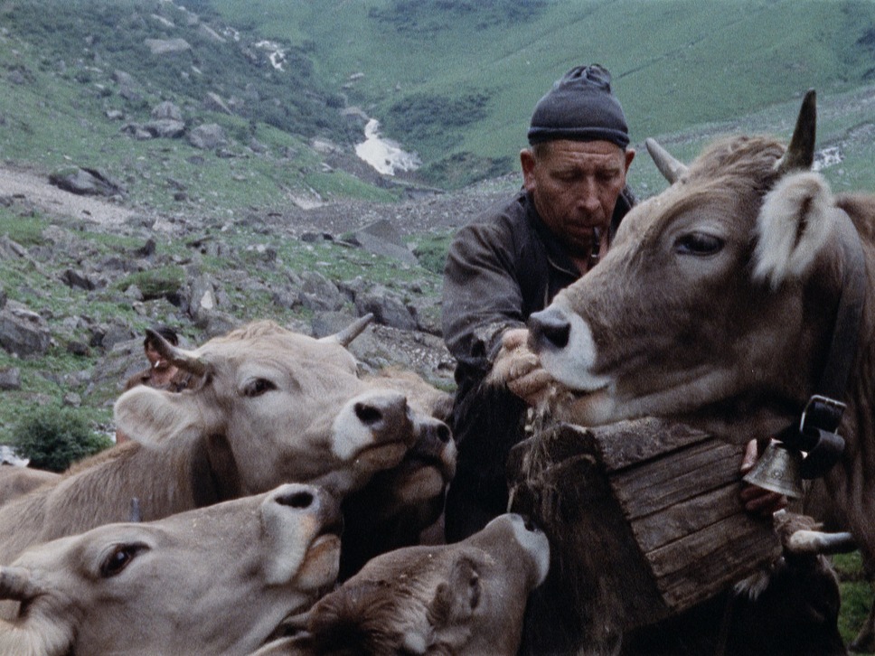 我ら山人たち─我々山国の人間が山間に住むのは、我々のせいではない 3枚目の写真・画像