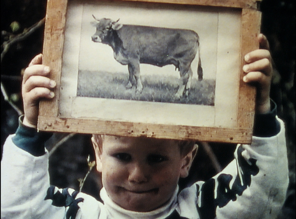 緑の山 1枚目の写真・画像