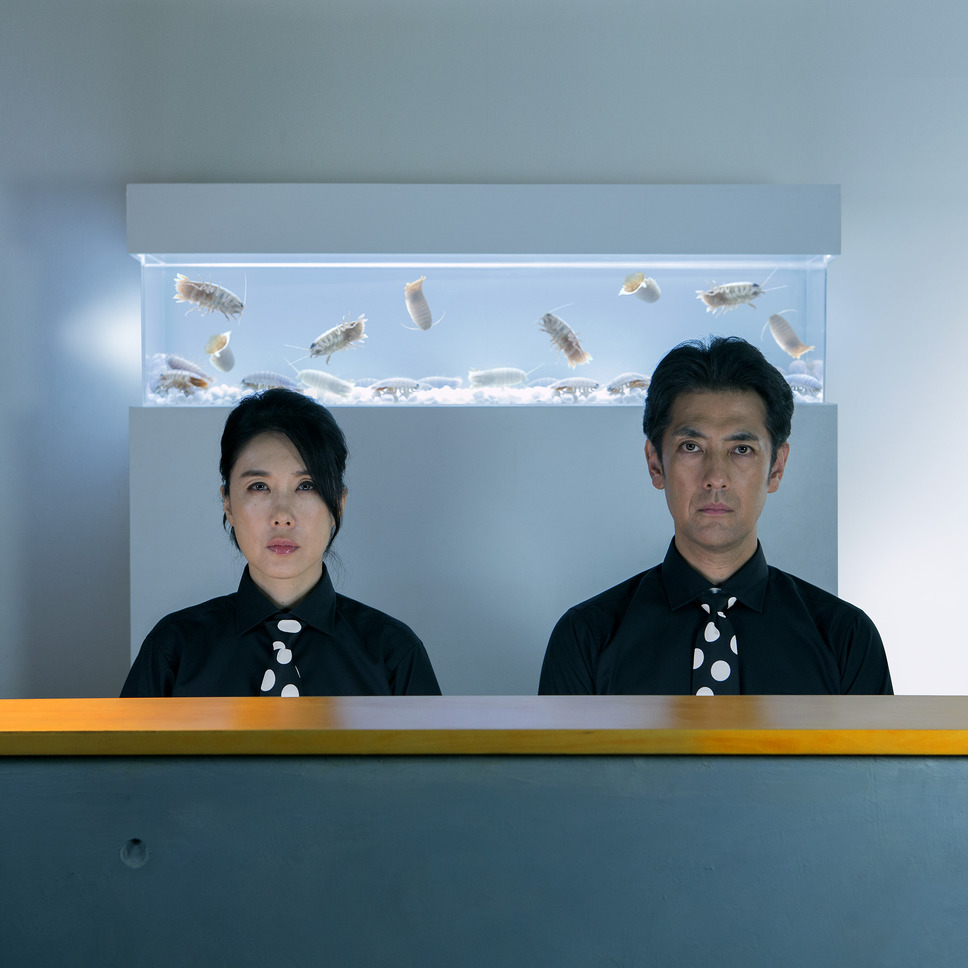 SHELL and JOINT 2枚目の写真・画像