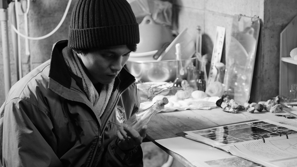 モルエラニの霧の中 4枚目の写真・画像