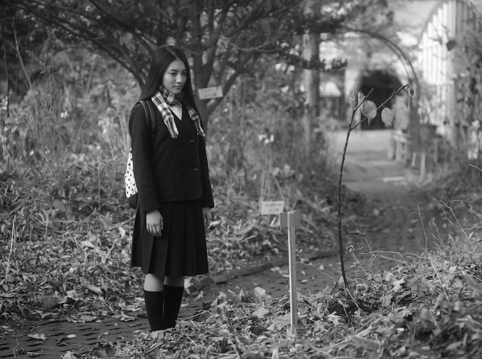 モルエラニの霧の中 11枚目の写真・画像