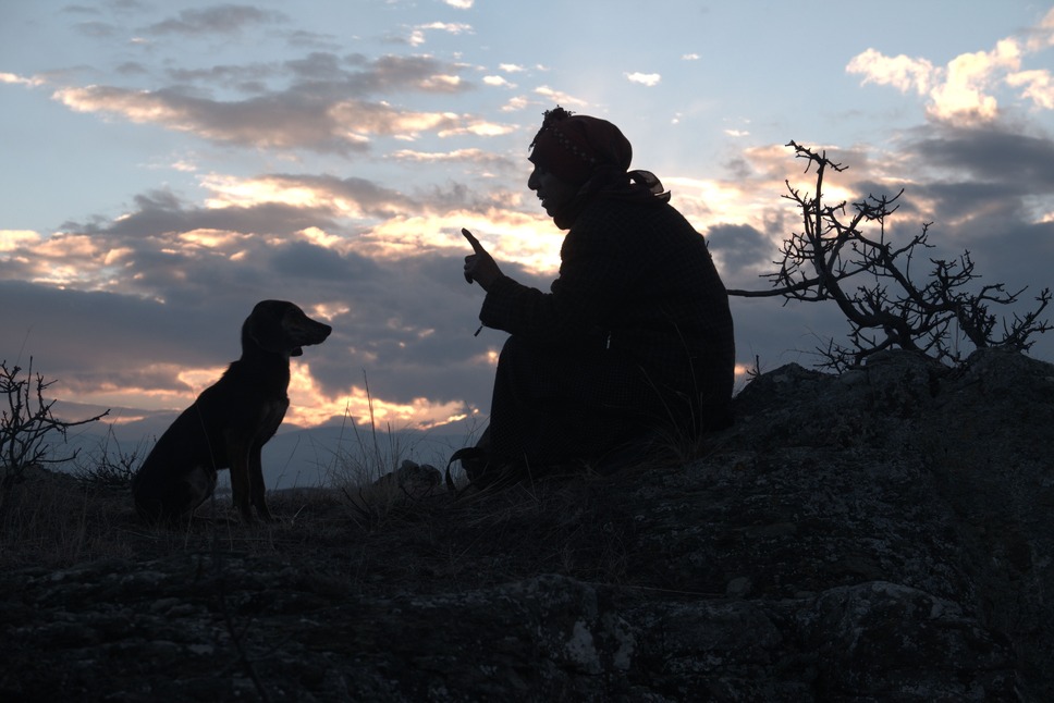 ハニーランド 永遠の谷 3枚目の写真・画像