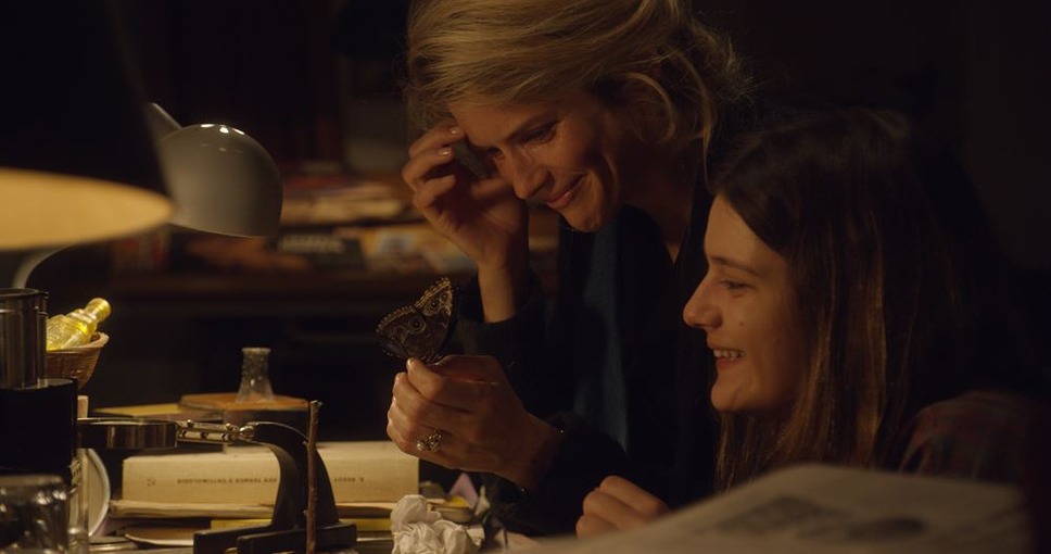 アンティークの祝祭 9枚目の写真・画像