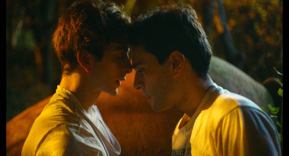 ダンサー そして私たちは踊った 4枚目の写真・画像