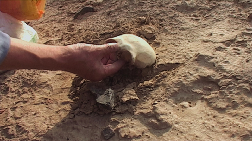 死霊魂 3枚目の写真・画像