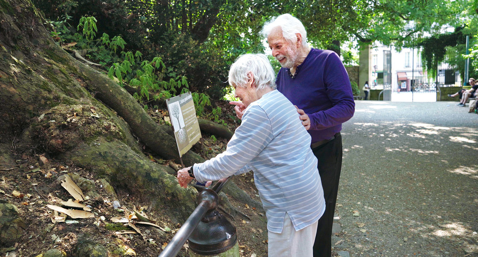 ホドロフスキーのサイコマジック 8枚目の写真・画像