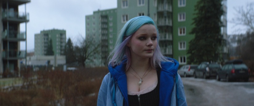 HARAJUKU 2枚目の写真・画像