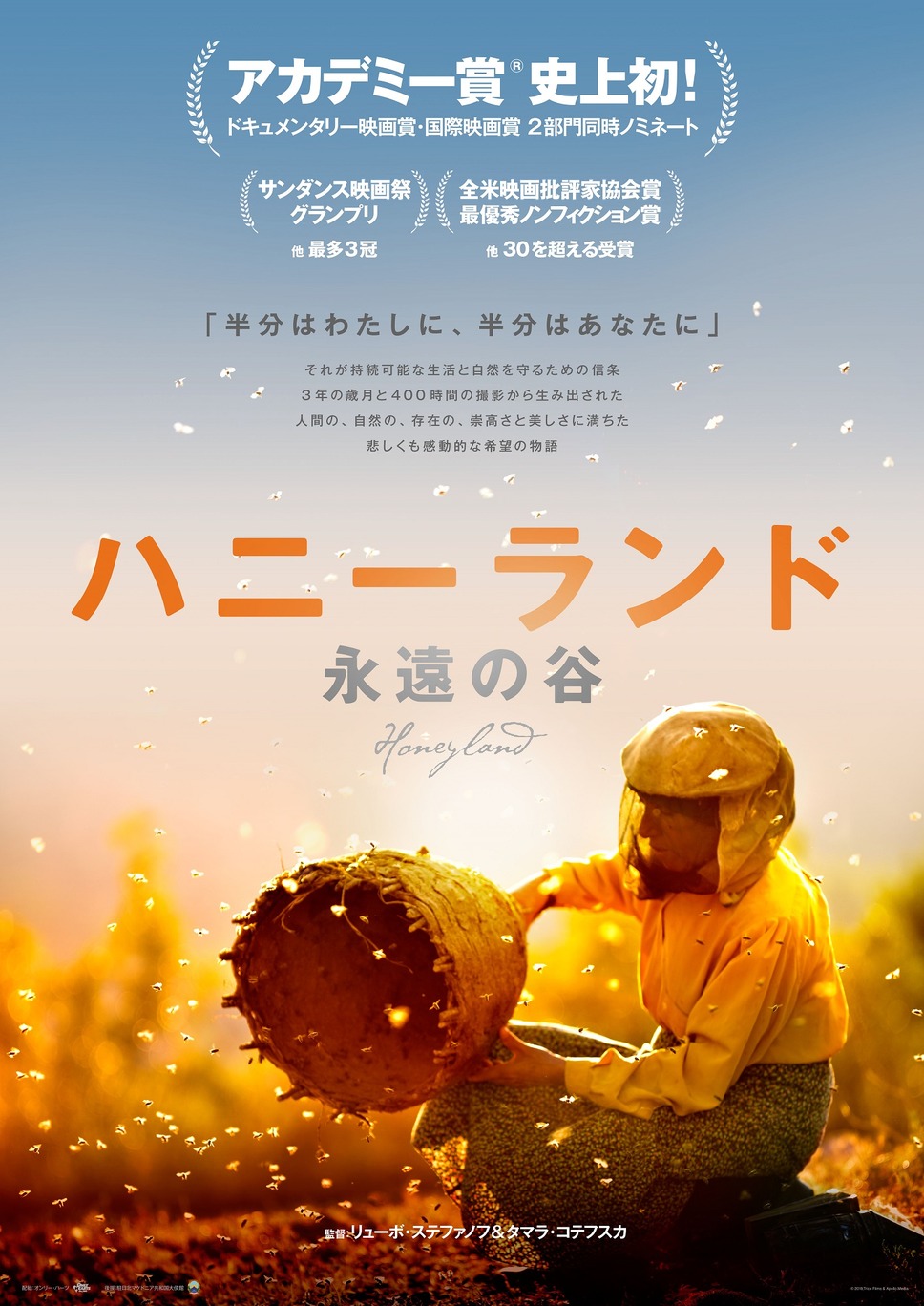 ハニーランド 永遠の谷 1枚目の写真・画像