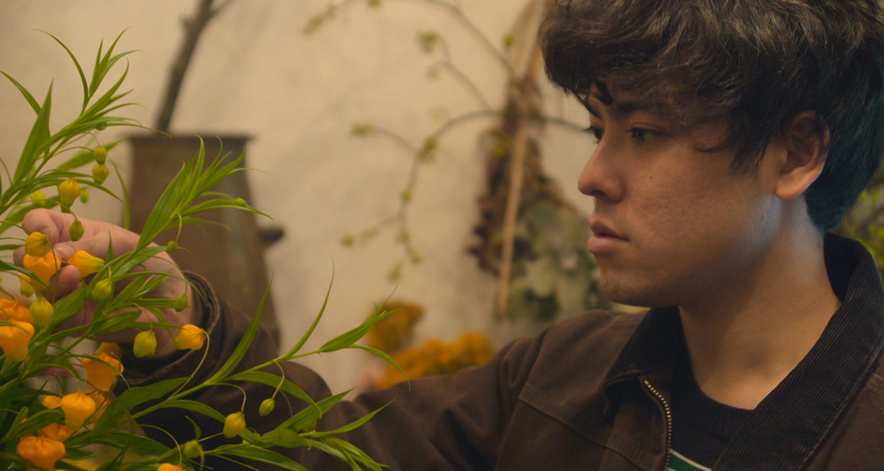 アボカドの固さ 2枚目の写真・画像