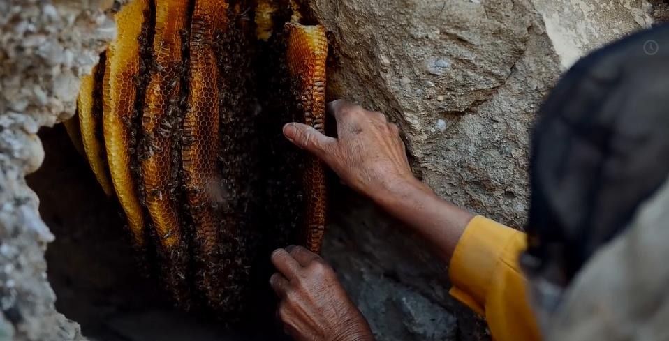 ハニーランド 永遠の谷 5枚目の写真・画像