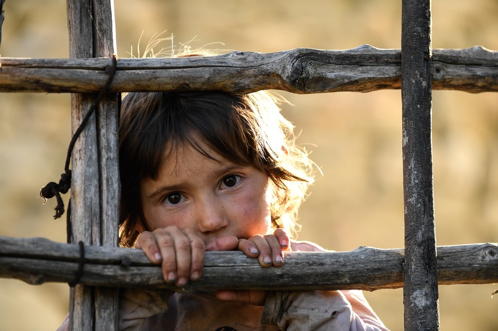 ハニーランド 永遠の谷 8枚目の写真・画像