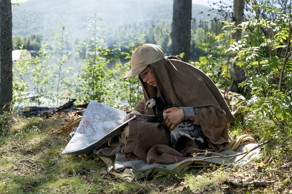 グランド・ジャーニー 7枚目の写真・画像