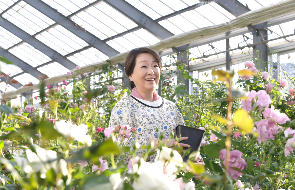 ブルーヘブンを君に 2枚目の写真・画像