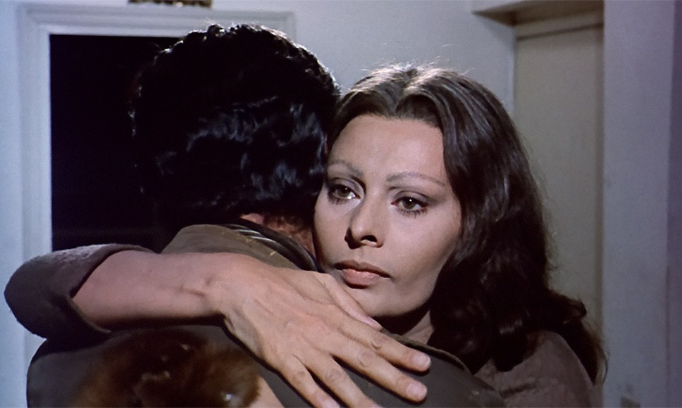 ひまわり 50周年HDレストア版 2枚目の写真・画像