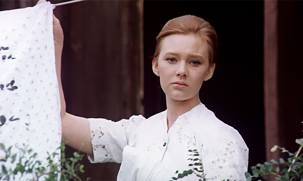 ひまわり 50周年HDレストア版 9枚目の写真・画像