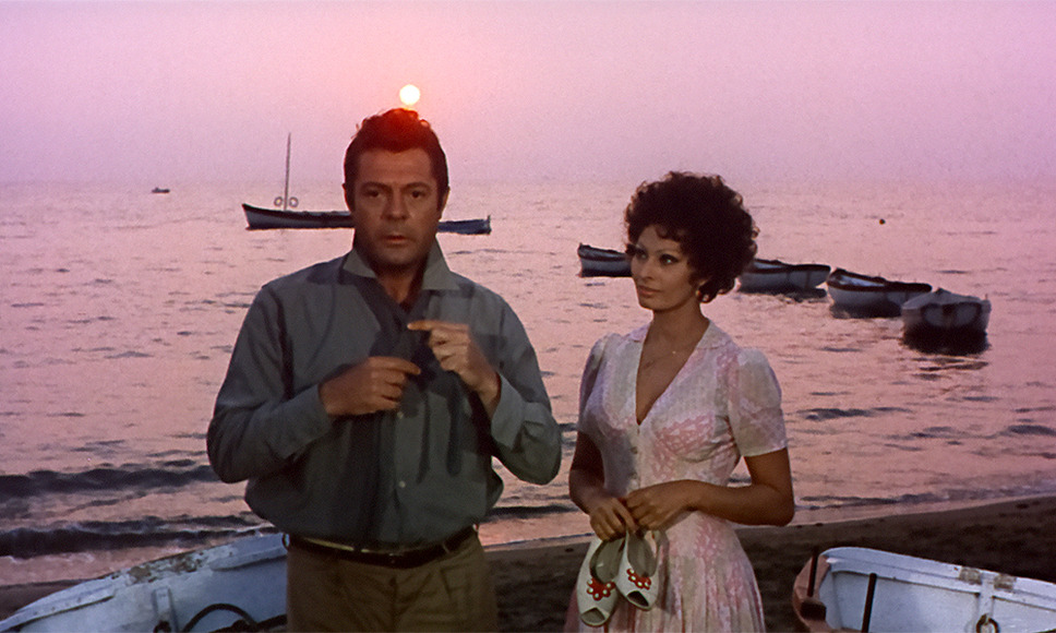 ひまわり 50周年HDレストア版 10枚目の写真・画像